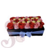 CAJA BUIN